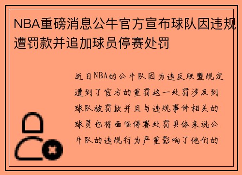 NBA重磅消息公牛官方宣布球队因违规遭罚款并追加球员停赛处罚
